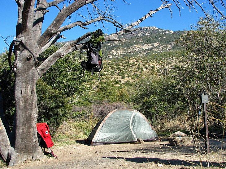 Campamento Douglas Spring