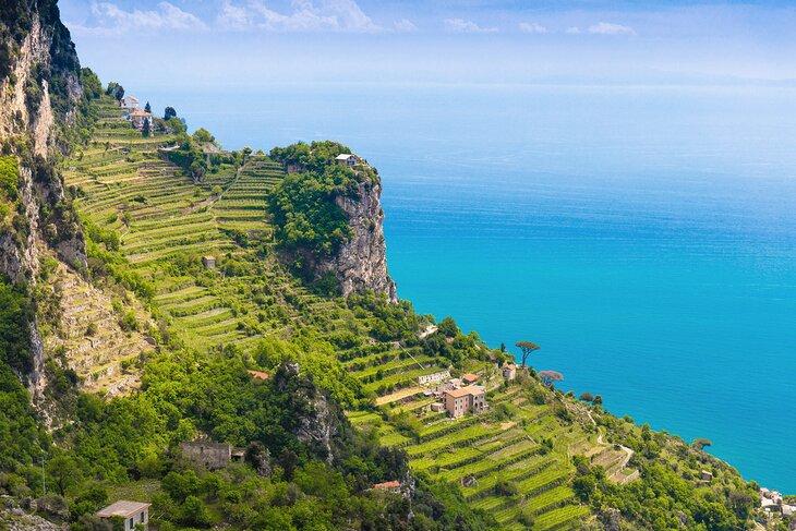 Vue des vergers de citronniers depuis la randonnée du Sentier des Dieux le long de la Côte Amalfitaine