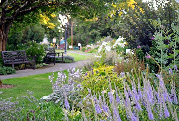 Paseo por el jardín Deepwood