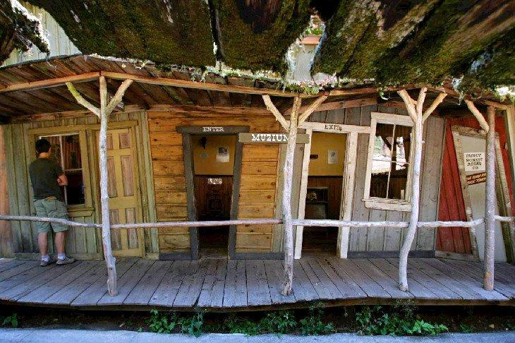 Muzio Enchanted Forest