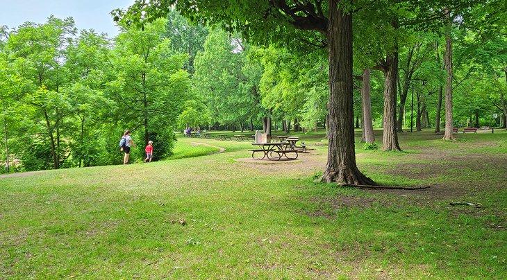 Tables de pique-nique et sentiers dans le parc Angrignon