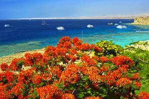 Atracciones turísticas en Sharm el-Sheikh, Egipto