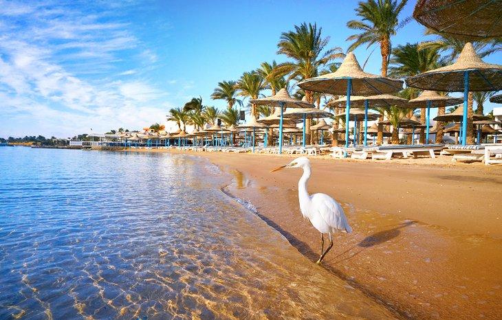 Playa de resort en Hurghada