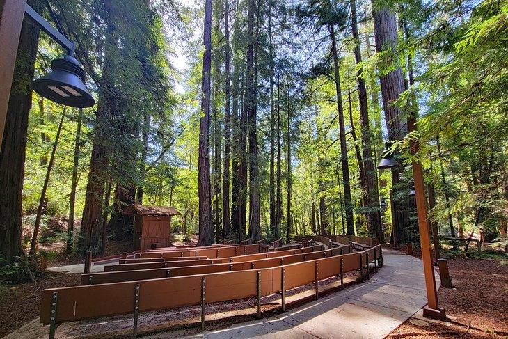 Amphitheater im Portola Redwoods State Park