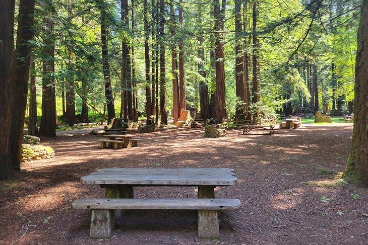 Samuel P. Taylor State Park