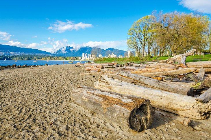 Bois flotté sur la plage de Kitsilano