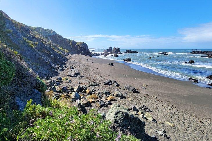 Playa Shell