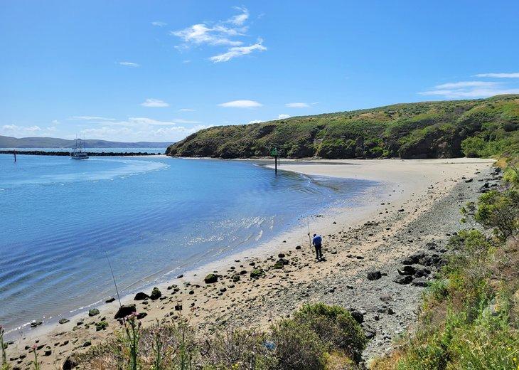 Playa Campbell Cove