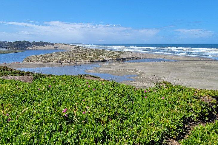 Playa North Salmon Creek