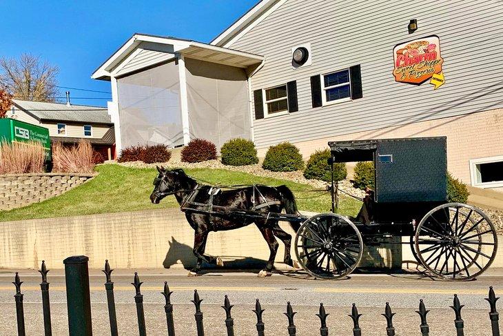 Carruaje Amish en Millersburg