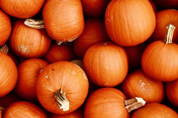 Calabazas en Circleville, Ohio