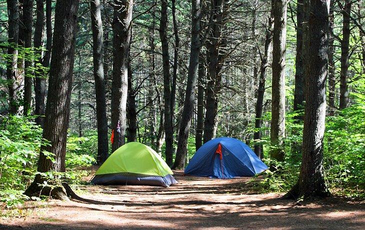 Camping Lago Kearney
