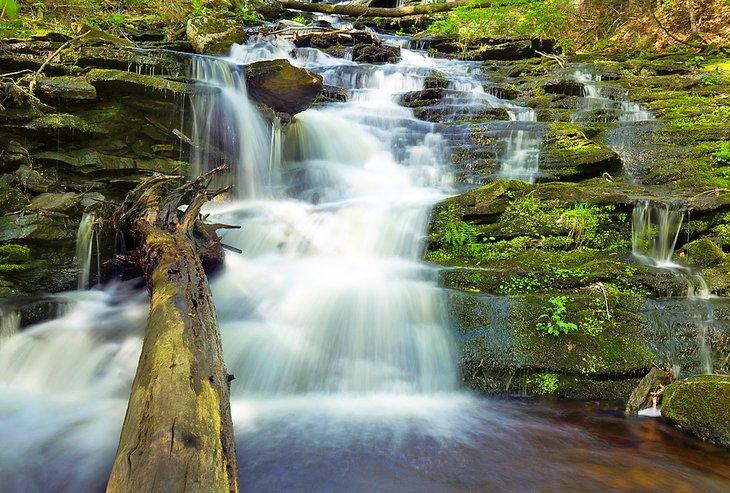 Cascadas Day Pond Brook
