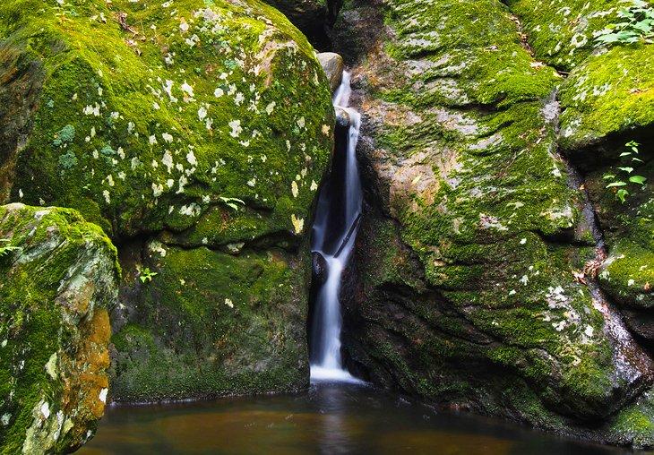 Cascadas Spruce Brook