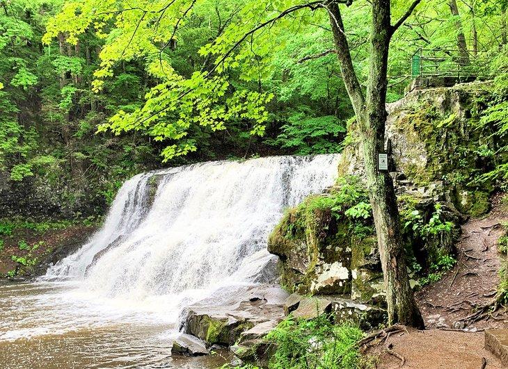 Cascadas en el Parque Estatal de Wadsworth Falls
