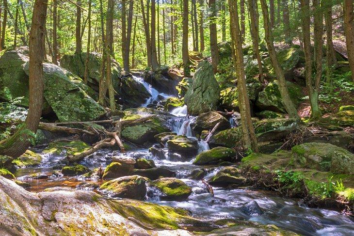 Nivel superior de Buttermilk Falls