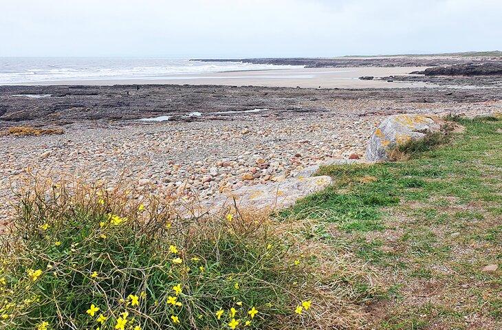 Plage de Pink Bay