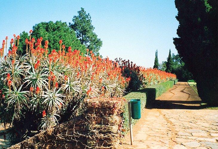 Jardín Botánico Nacional de Pretoria, Gauteng