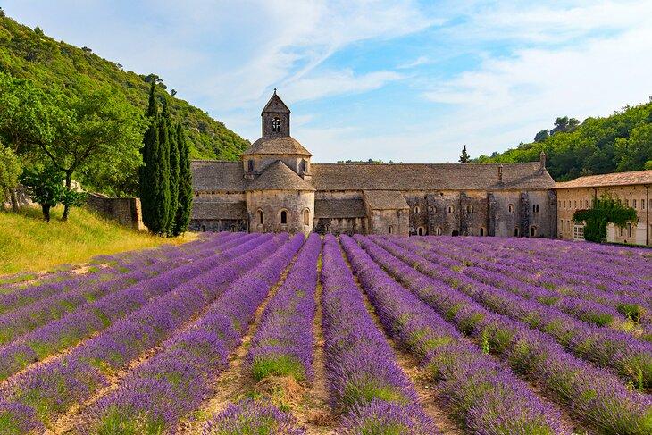 Abbaye de Sénanque