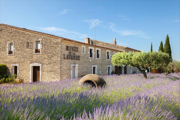 Museo de Lavanda en Coustellet