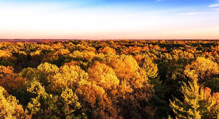 Forêt Nationale Hoosier