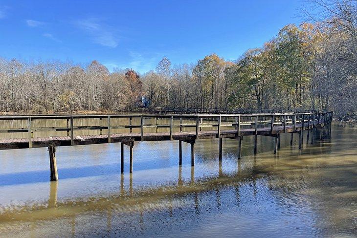 Parque Natural Cypress Grove