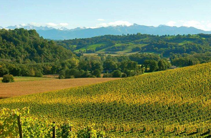 Campagne de Jurançon et Montagnes Béarnaises