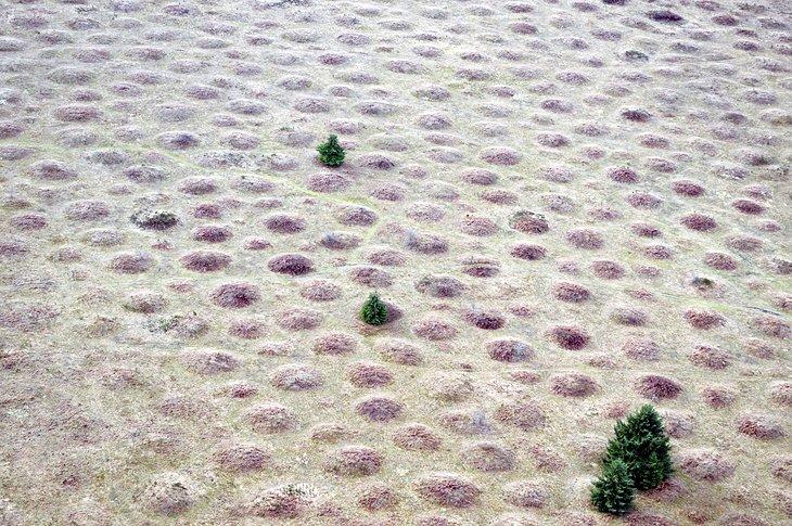 Mounds Mima