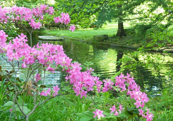 Jardín Botánico de Toledo
