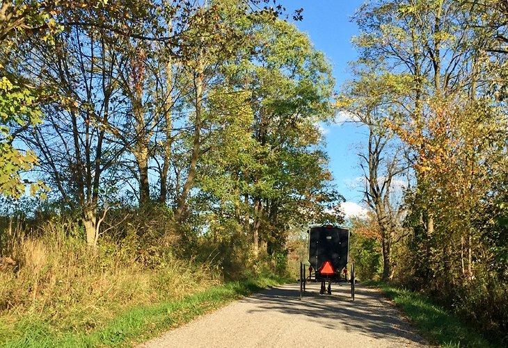 Carruaje tirado por caballos en el país Amish