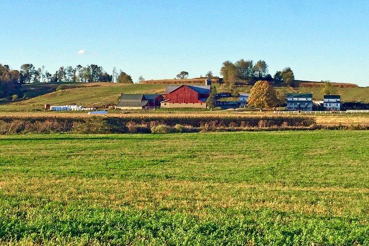 Granja Amish en Ohio