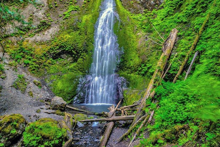 Cascadas Marymere en el Bosque Lluvioso Hoh, Parque Nacional Olímpico