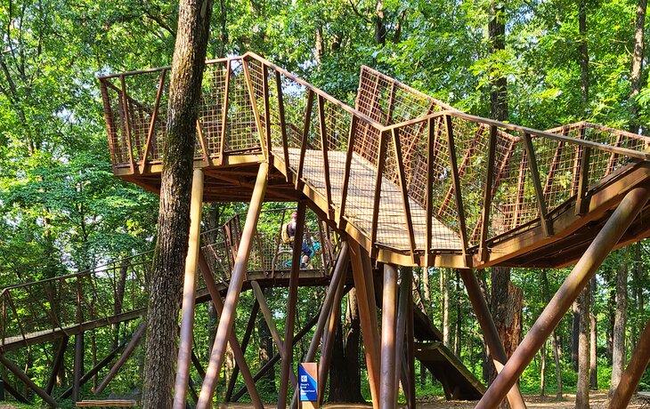 Rampas en un sendero de mountain biking en Bentonville