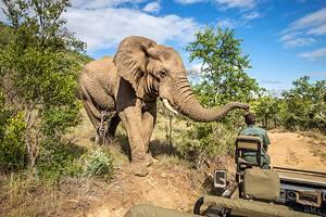 Wildreservate in Afrika