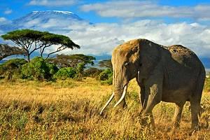 Touristenattraktionen in Kenia