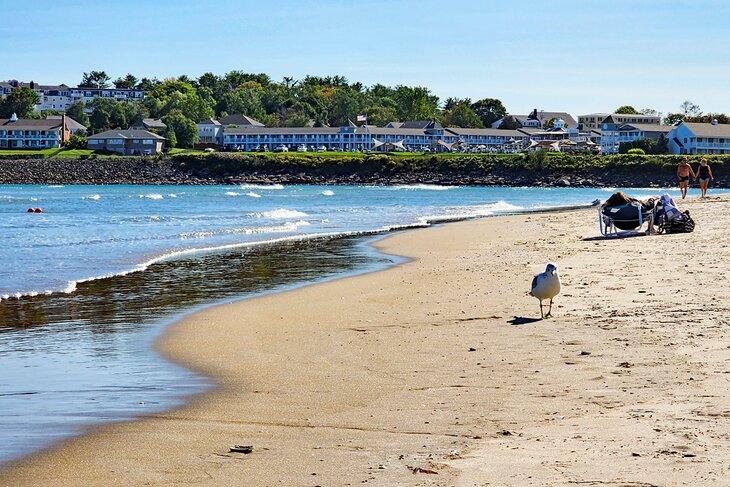 Ogunquit Beach