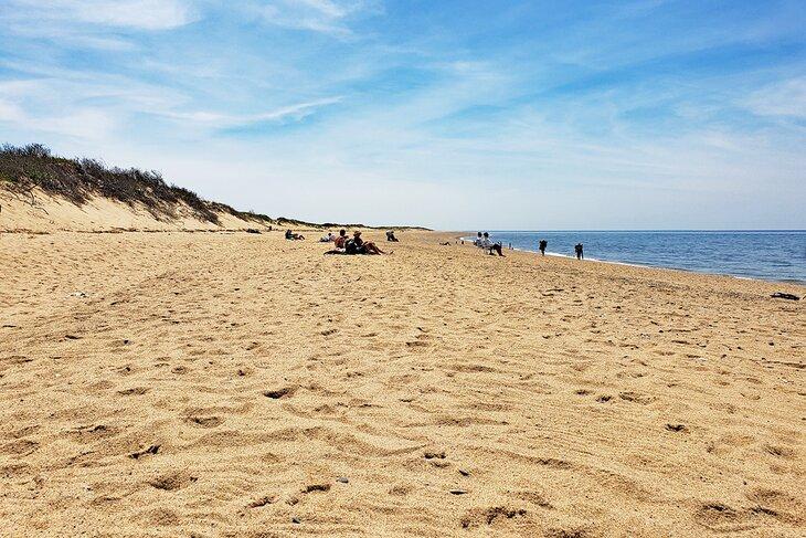 Herring Cove Beach
