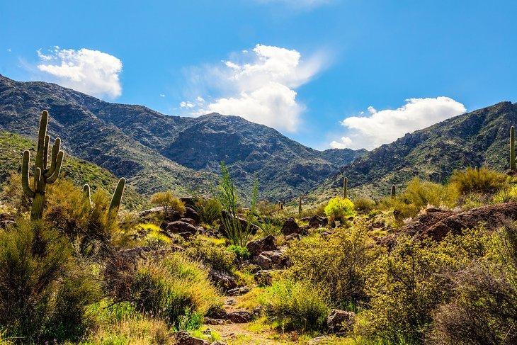 Harquahala Trail al oeste de Wickenburg
