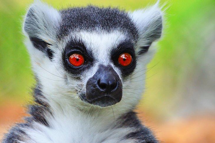 Zoológico Benito Juárez