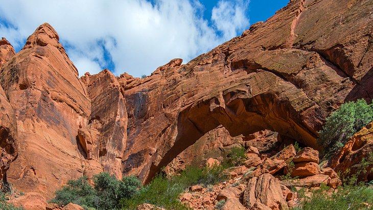 Cañón Johnson, Snow Canyon
