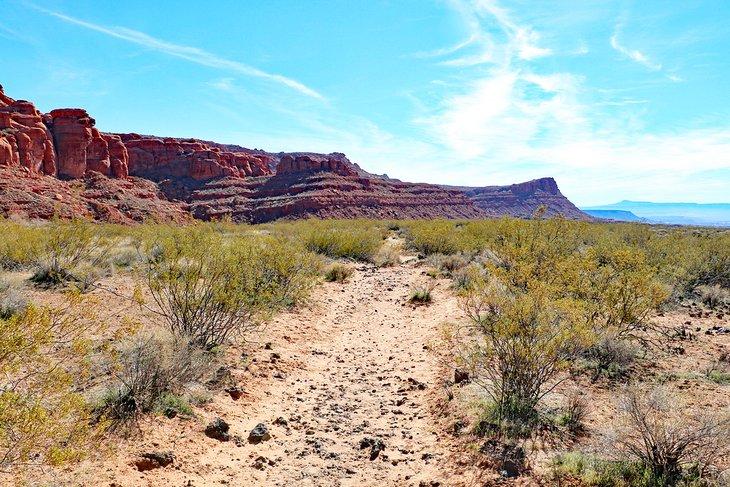 Sendero de Cañón Johnson