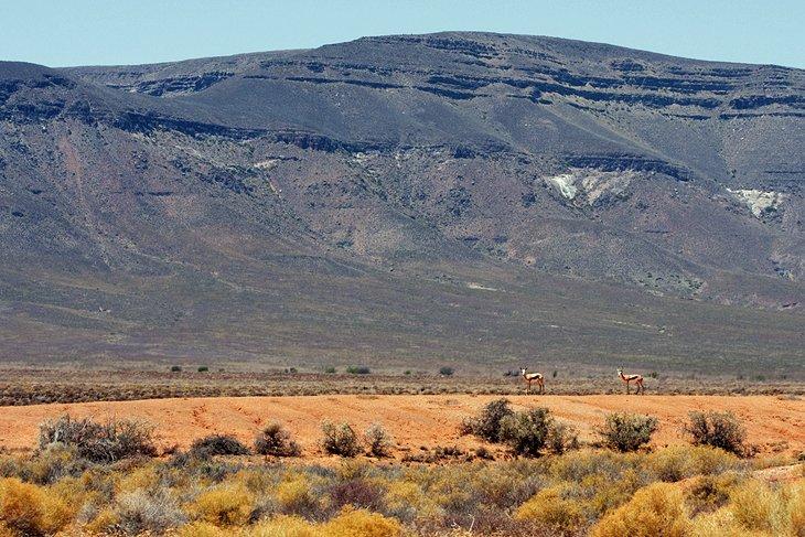 Parc National Tankwa Karoo