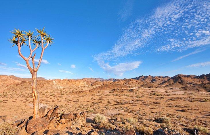 Parc National Transfrontalier Ai-Ais Richtersveld