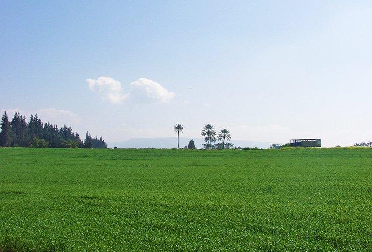 Campos exuberantes en el kibbutz de Degania