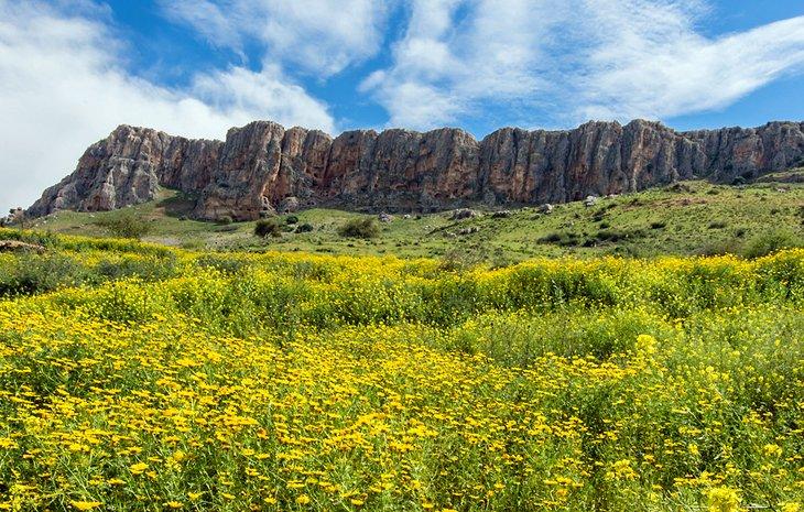 Parque Nacional de Arbel