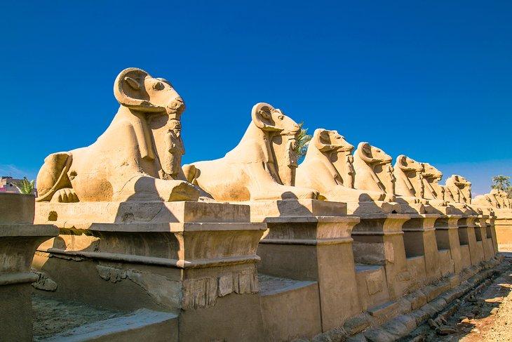 Rangée de sculptures anciennes de criosphinx dans le Temple de Karnak, Louxor