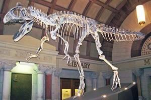 Museen in Columbus, Ohio