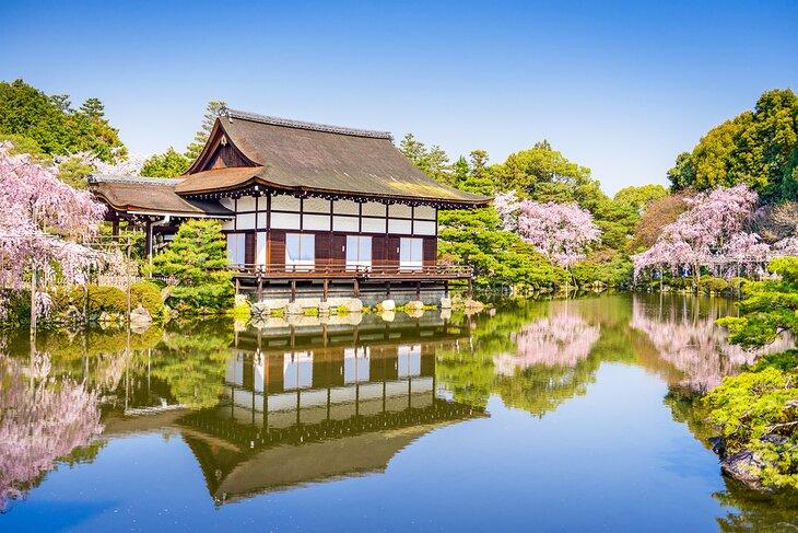 Kirschblüten im April am Heian-Schrein, Kyoto, Japan