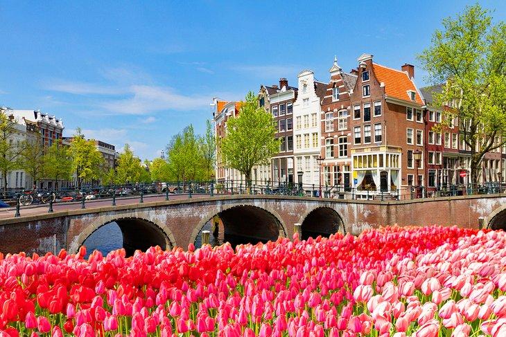 Tulpen entlang eines Kanals in Amsterdam