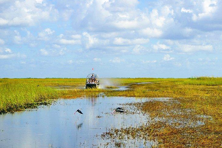 Paseo en airboat en los Everglades de Florida